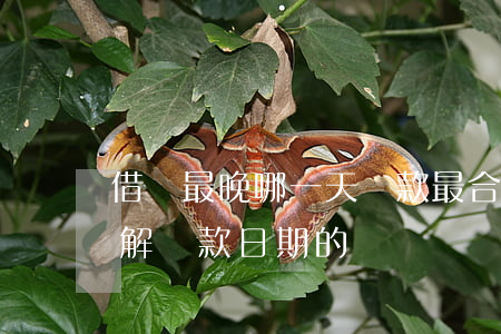 借唄最晚哪一天還款最合適？詳解還款日期的選擇